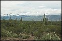 DSC_9217-01.jpg