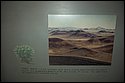 DSC_9250-01.jpg