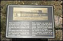 DSC_9326-01.jpg