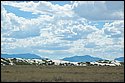 DSC_9445-01.jpg