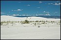 DSC_9457-01.jpg