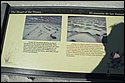 DSC_9464-01.jpg