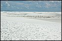 DSC_9471-01.jpg