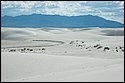 DSC_9482-01.jpg