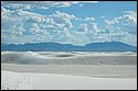 DSC_9488-01.jpg