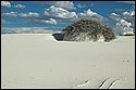 DSC_9500-01.jpg