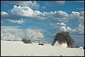 DSC_9502-01.jpg