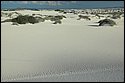 DSC_9505-01.jpg