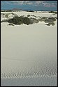 DSC_9510-01.jpg