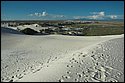 DSC_9511-01.jpg