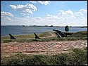 IMG_0479.JPG