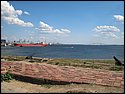 IMG_0480.JPG