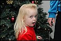 DSC_0519.JPG