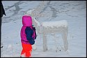 DSC_0724.JPG
