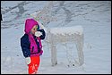 DSC_0725.JPG