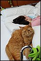 DSC_0886.JPG