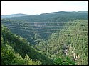 DSC00232