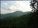 DSC00236