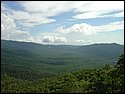 DSC00250