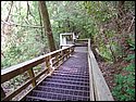 DSC00263