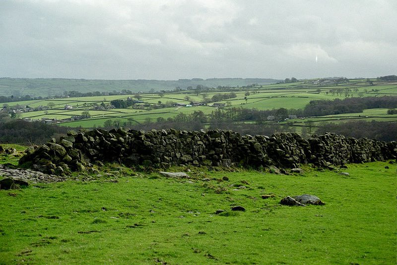 BrimhamRocks01.JPG