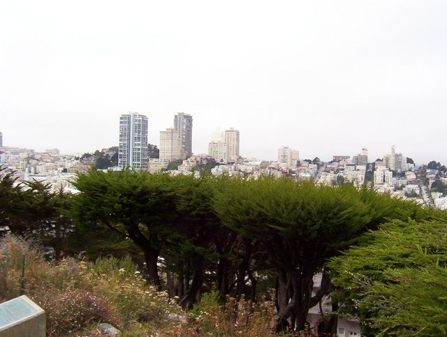 100_0115.JPG taken 