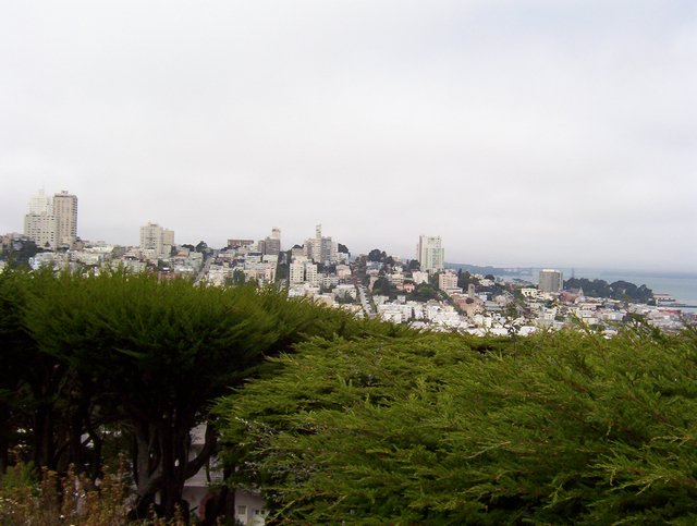 100_0116.JPG taken 