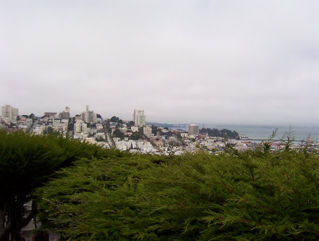 100_0117.JPG taken 