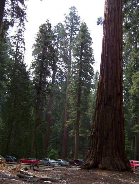 100_0181.JPG taken 
