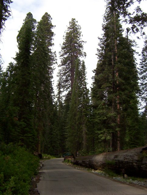 100_0184.JPG taken 