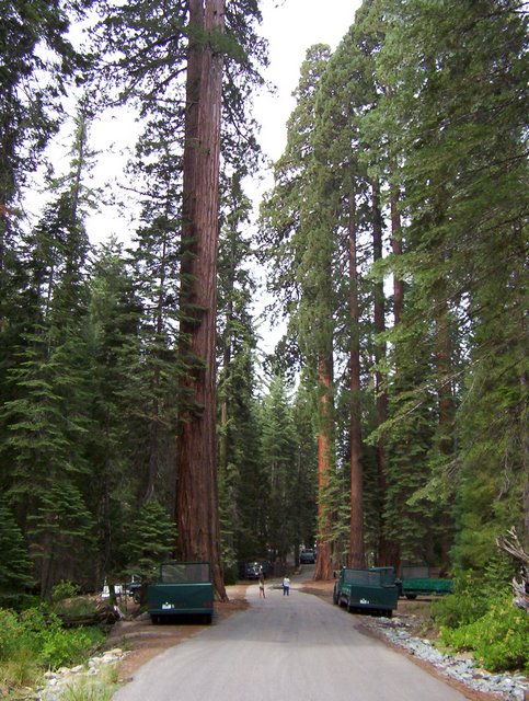 100_0186.JPG taken 