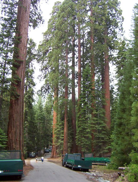 100_0187.JPG taken 