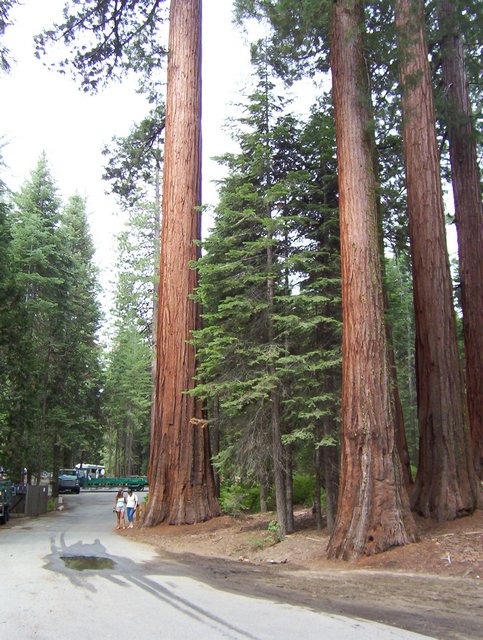 100_0188.JPG taken 