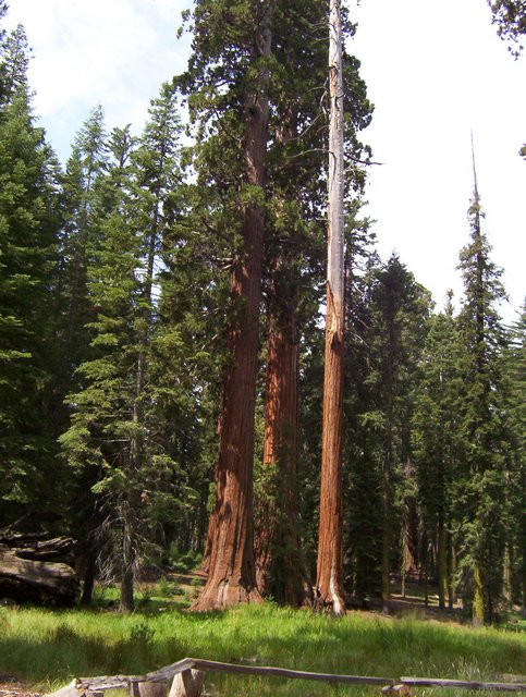 100_0192.JPG taken 