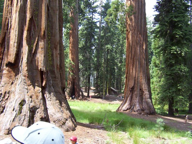 100_0193.JPG taken 