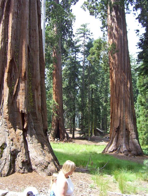100_0194.JPG taken 