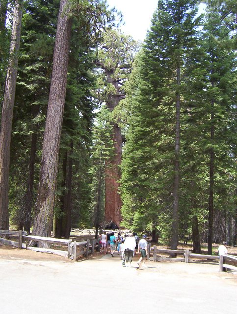 100_0198.JPG taken 