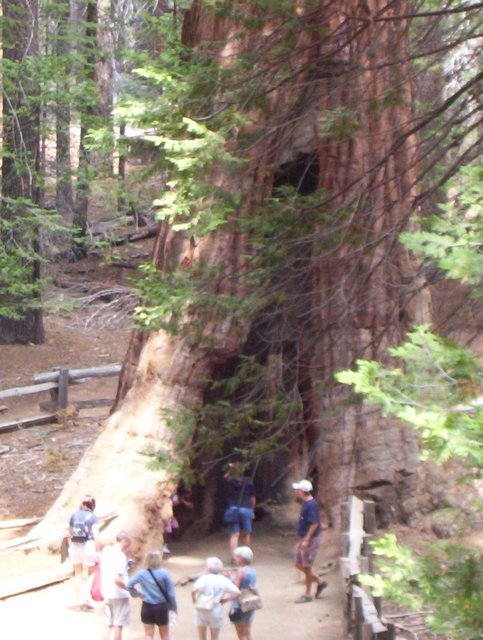100_0199.JPG taken 