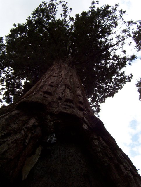 100_0202.JPG taken 