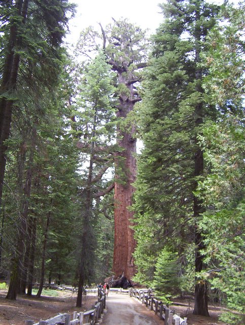 100_0205.JPG taken 