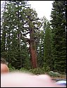 100_0189