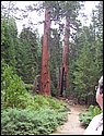 100_0190
