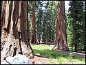100_0193