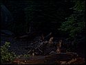 100_0237