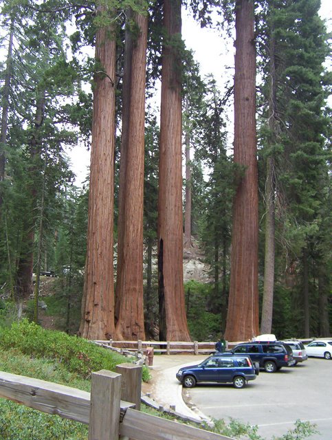 100_0248.JPG taken 