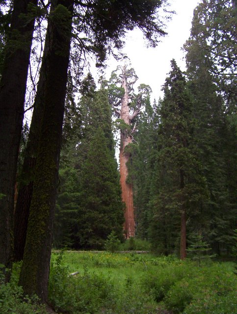 100_0249.JPG taken 