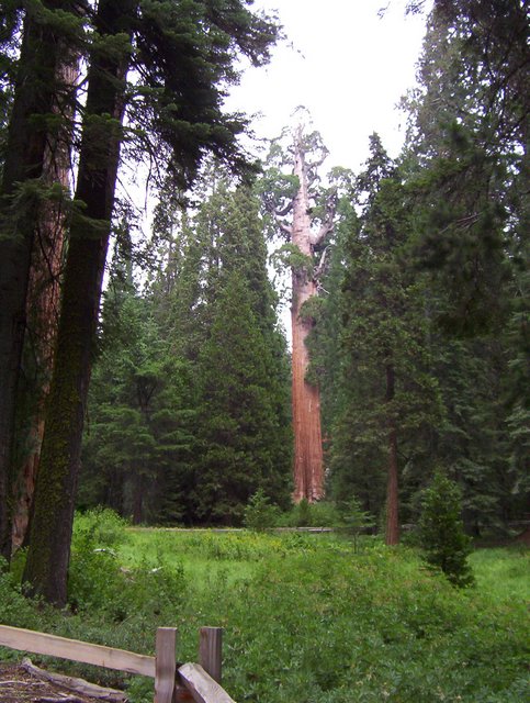 100_0250.JPG taken 