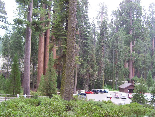 100_0255.JPG taken 