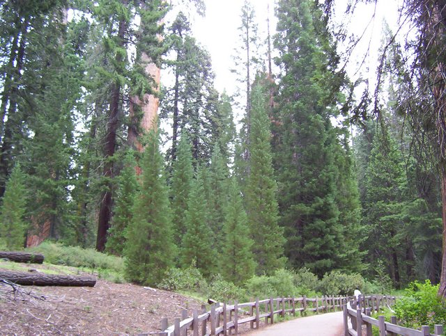 100_0258.JPG taken 