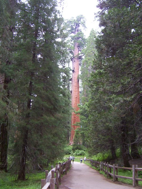 100_0260.JPG taken 